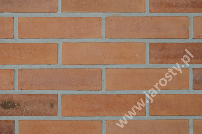 кирпичный завод в Польше грубая керамика облицовочный фасадный кирпич угольные горелки